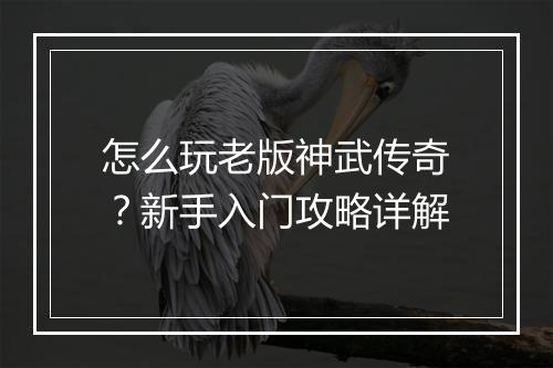 怎么玩老版神武传奇？新手入门攻略详解