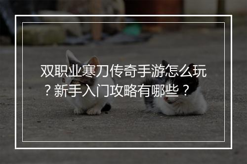 双职业寒刀传奇手游怎么玩？新手入门攻略有哪些？