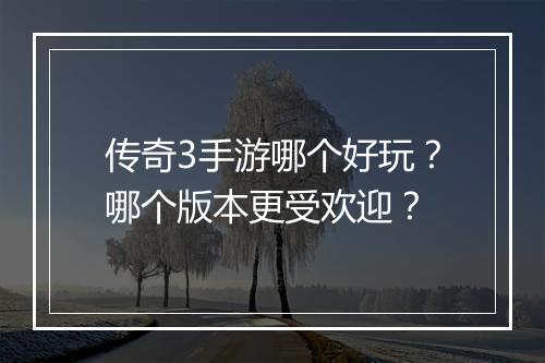 传奇3手游哪个好玩？哪个版本更受欢迎？