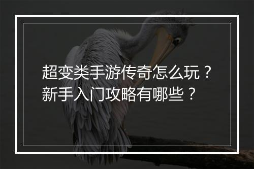 超变类手游传奇怎么玩？新手入门攻略有哪些？