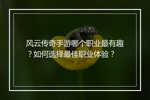 风云传奇手游哪个职业最有趣？如何选择最佳职业体验？