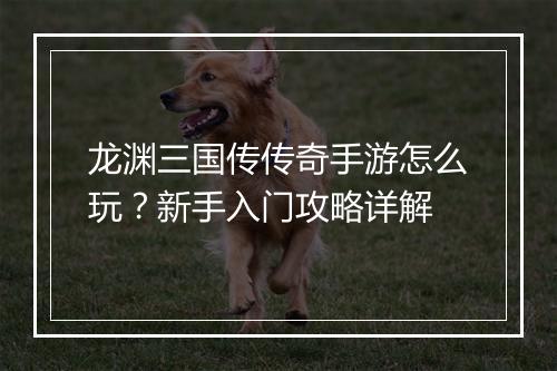 龙渊三国传传奇手游怎么玩？新手入门攻略详解