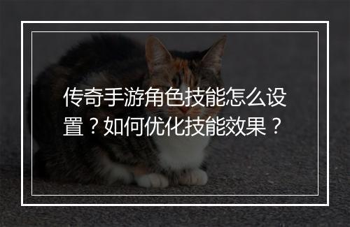 传奇手游角色技能怎么设置？如何优化技能效果？