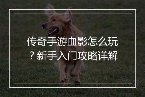 传奇手游血影怎么玩？新手入门攻略详解