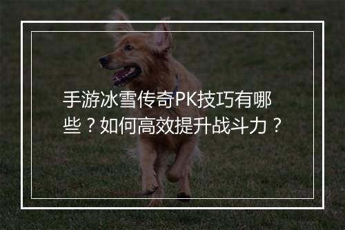 手游冰雪传奇PK技巧有哪些？如何高效提升战斗力？