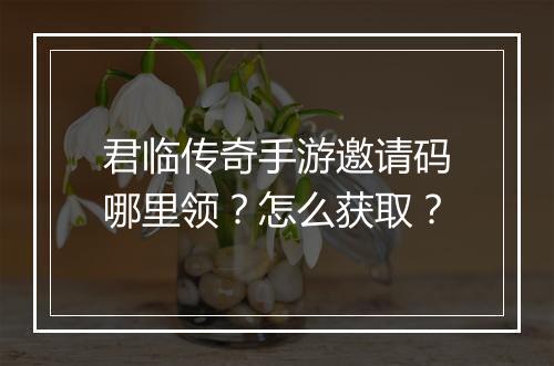 君临传奇手游邀请码哪里领？怎么获取？