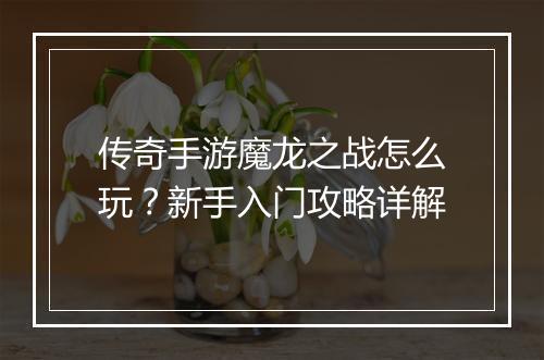 传奇手游魔龙之战怎么玩？新手入门攻略详解