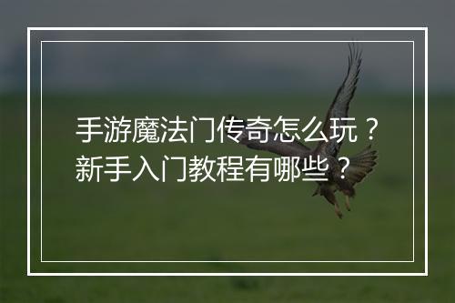 手游魔法门传奇怎么玩？新手入门教程有哪些？