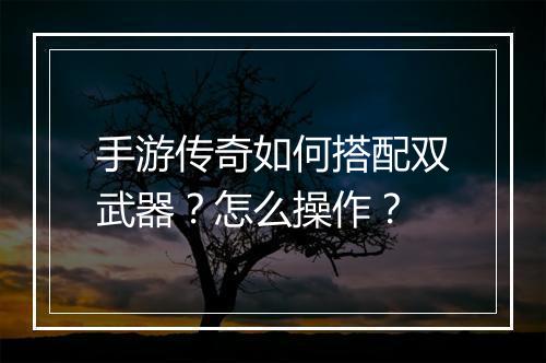 手游传奇如何搭配双武器？怎么操作？
