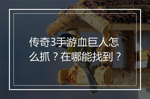 传奇3手游血巨人怎么抓？在哪能找到？