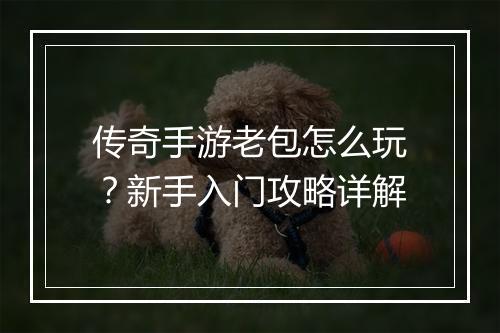 传奇手游老包怎么玩？新手入门攻略详解