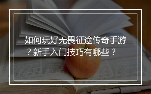 如何玩好无畏征途传奇手游？新手入门技巧有哪些？