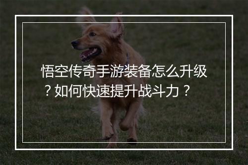 悟空传奇手游装备怎么升级？如何快速提升战斗力？