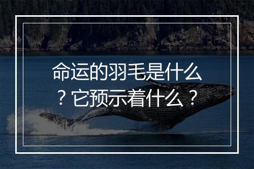 命运的羽毛是什么？它预示着什么？