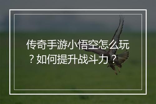 传奇手游小悟空怎么玩？如何提升战斗力？