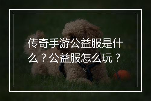 传奇手游公益服是什么？公益服怎么玩？