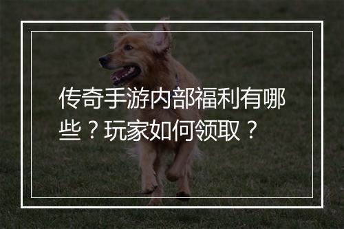 传奇手游内部福利有哪些？玩家如何领取？