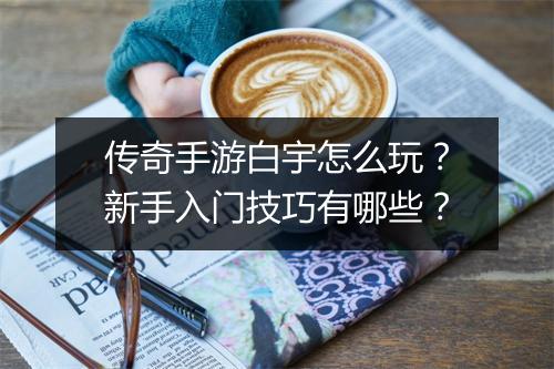 传奇手游白宇怎么玩？新手入门技巧有哪些？
