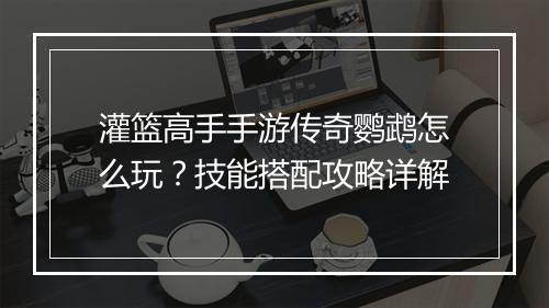 灌篮高手手游传奇鹦鹉怎么玩？技能搭配攻略详解