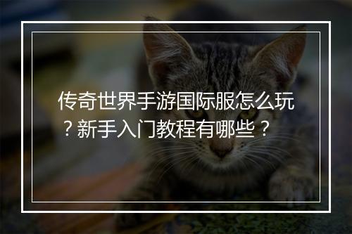 传奇世界手游国际服怎么玩？新手入门教程有哪些？