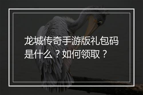 龙城传奇手游版礼包码是什么？如何领取？
