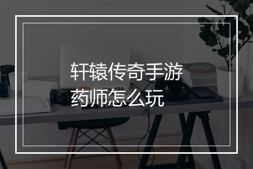 轩辕传奇手游药师怎么玩