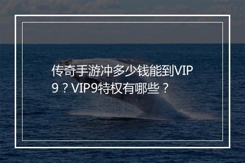 传奇手游冲多少钱能到VIP9？VIP9特权有哪些？