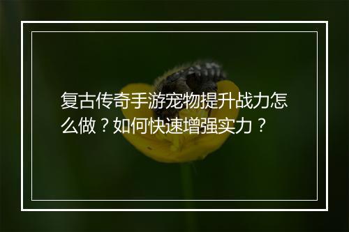 复古传奇手游宠物提升战力怎么做？如何快速增强实力？