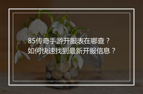 85传奇手游开服表在哪查？如何快速找到最新开服信息？