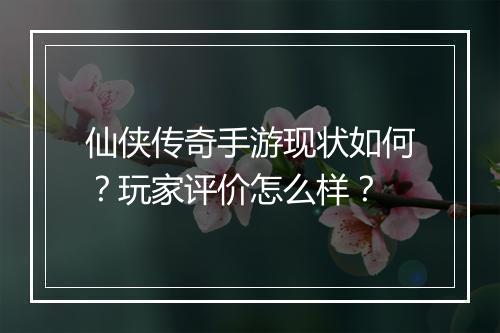 仙侠传奇手游现状如何？玩家评价怎么样？