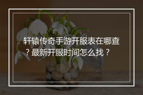 轩辕传奇手游开服表在哪查？最新开服时间怎么找？