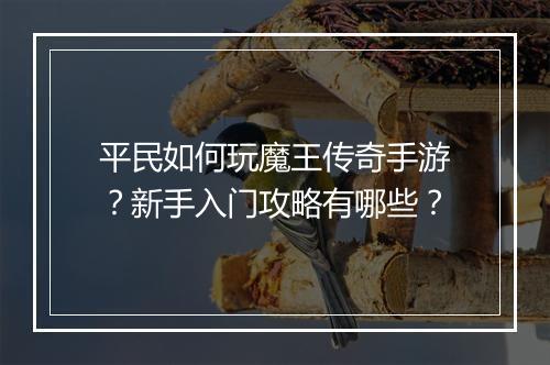 平民如何玩魔王传奇手游？新手入门攻略有哪些？