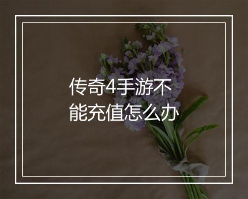 传奇4手游不能充值怎么办