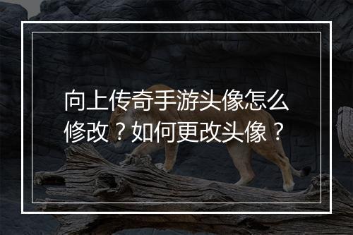 向上传奇手游头像怎么修改？如何更改头像？