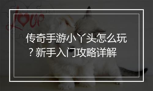 传奇手游小丫头怎么玩？新手入门攻略详解