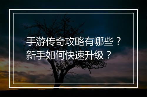 手游传奇攻略有哪些？新手如何快速升级？