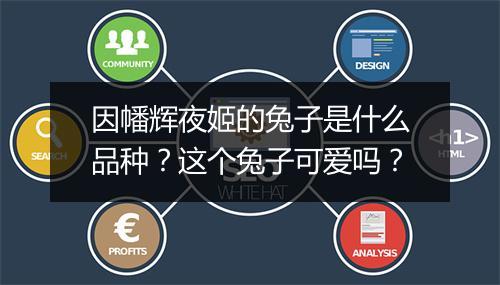 因幡辉夜姬的兔子是什么品种？这个兔子可爱吗？