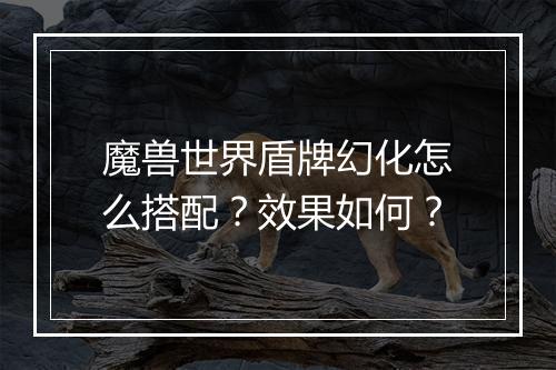 魔兽世界盾牌幻化怎么搭配？效果如何？