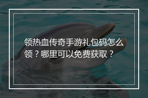 领热血传奇手游礼包码怎么领？哪里可以免费获取？