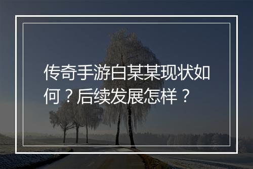 传奇手游白某某现状如何？后续发展怎样？