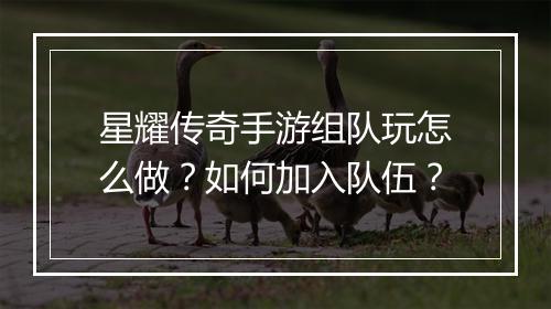 星耀传奇手游组队玩怎么做？如何加入队伍？