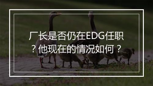 厂长是否仍在EDG任职？他现在的情况如何？