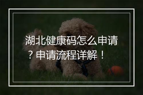 湖北健康码怎么申请？申请流程详解！