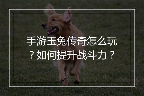 手游玉兔传奇怎么玩？如何提升战斗力？