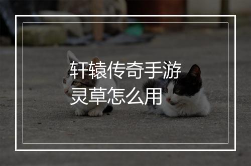 轩辕传奇手游灵草怎么用