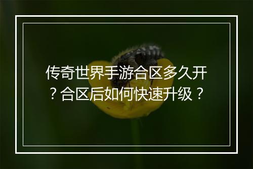 传奇世界手游合区多久开？合区后如何快速升级？