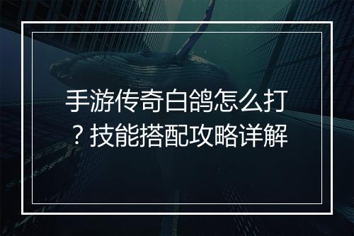 手游传奇白鸽怎么打？技能搭配攻略详解