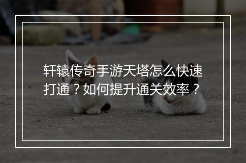 轩辕传奇手游天塔怎么快速打通？如何提升通关效率？