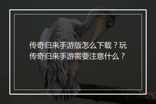 传奇归来手游版怎么下载？玩传奇归来手游需要注意什么？