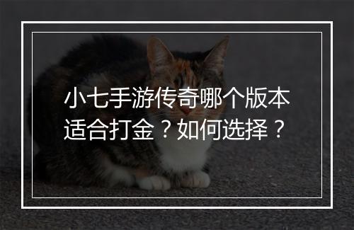 小七手游传奇哪个版本适合打金？如何选择？